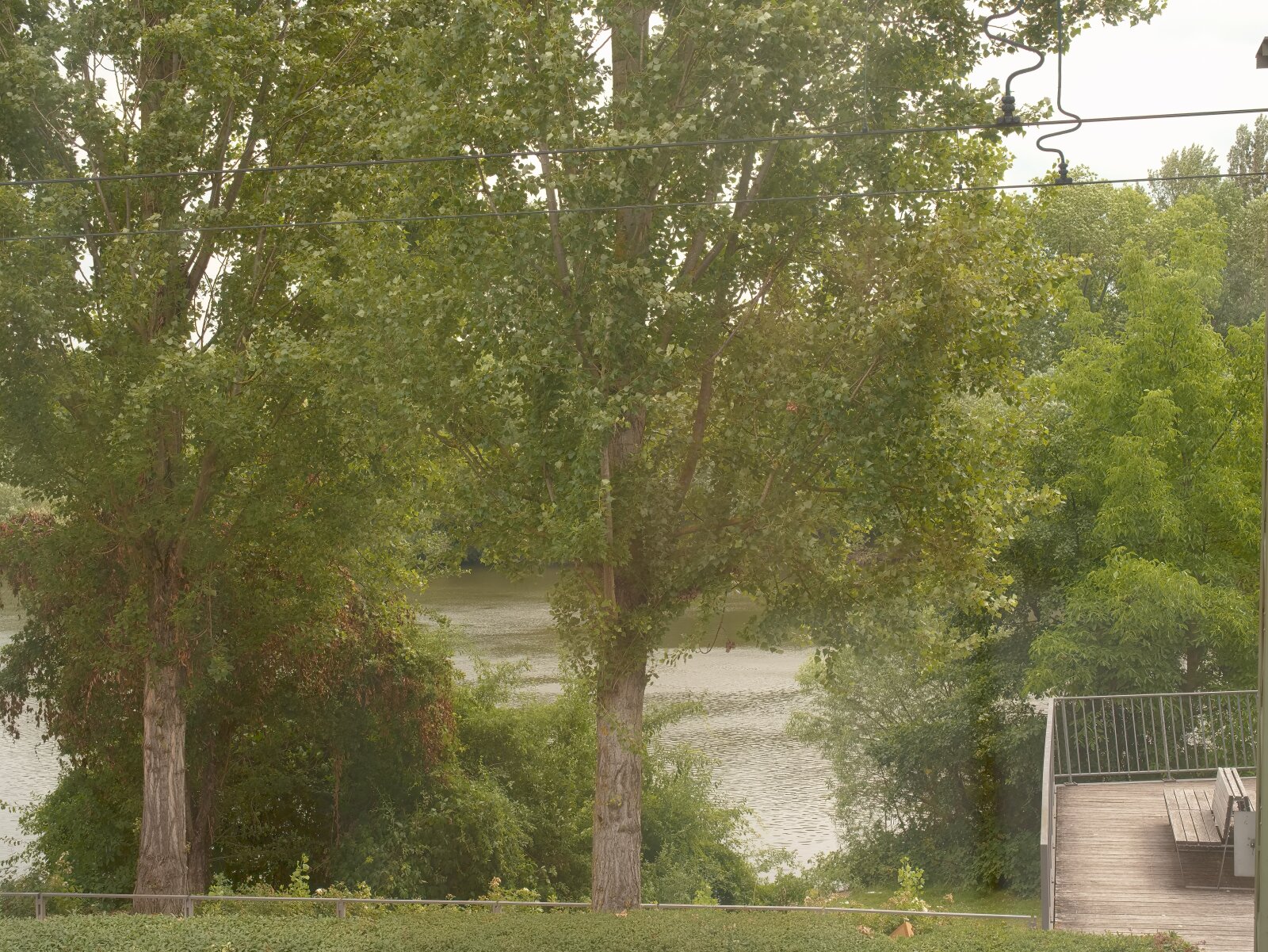 Hübsche Zweizimmer-Singlewohnung mit Mainblick