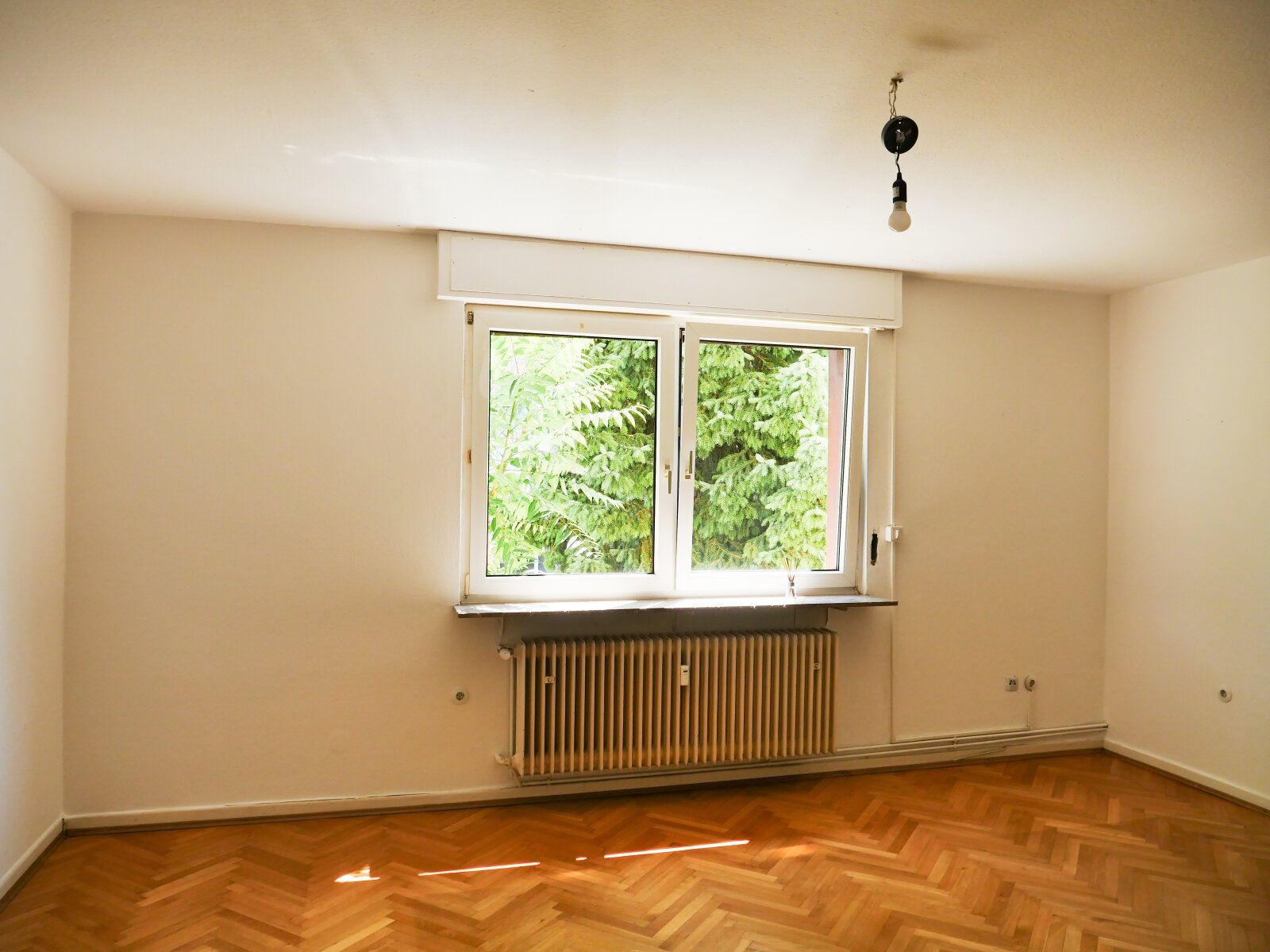 Geräumige Dreizimmerwohnung im Erdgeschoss