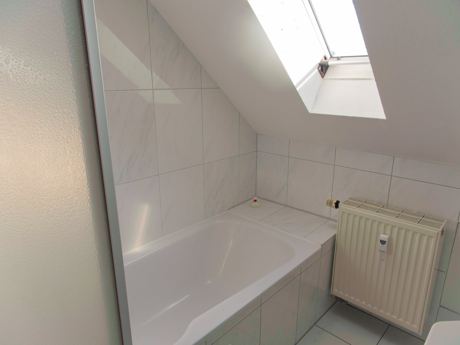 Sehr schöne helle Dachgeschosswohnung