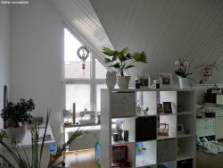 Südfenster im Wohnzimmer Südfenster im Wohnzimmer